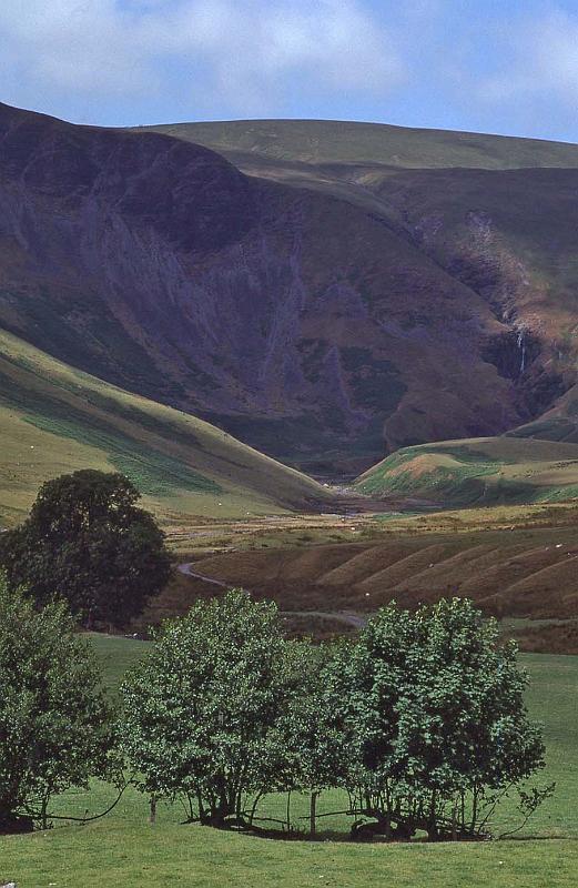 WT 3100 348-25 UK-3 1992.jpg